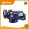 Motore Complet di shacman di Wd615 Wd618 Wp10 Weichai