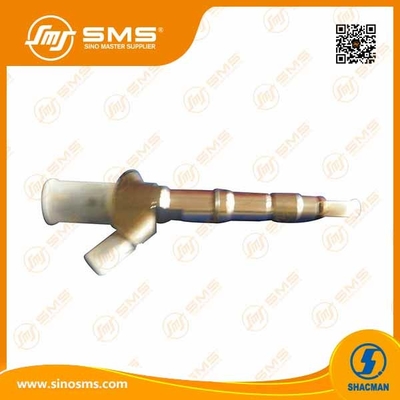 comprare Le parti del camion della BV Wp10 SHACMAN riforniscono l'iniettore di combustibile 612600080611 fabbricazione online