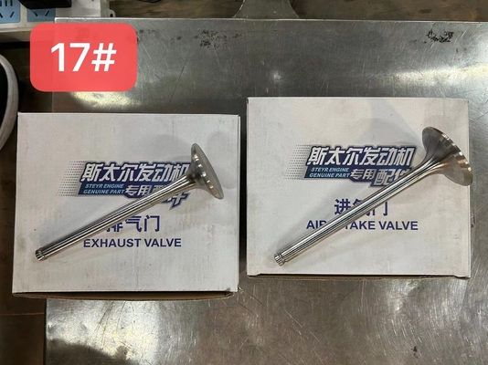 612600050025 Valvola di scarico ad aria Weichai WP10 Parti di motori diesel