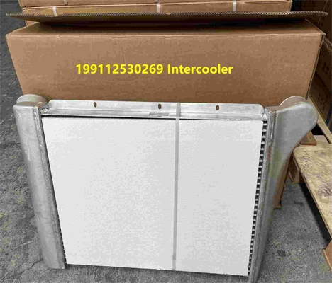 199112530269 Ricambi per camion Shacman Intercooler Assemblaggio Ricambi per camion Shacman F3000
