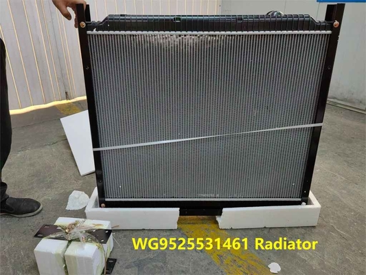 Radiatore WG9525531461 HOWO Intercooler per autoveicoli