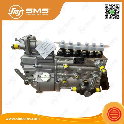 VG1560080023 Pompa di iniezione di carburante HOWO Parti di autocarri WD615.69/47