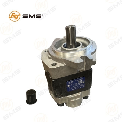 Scavo idraulico per pompe di olio, ingranaggi di pompe, carrelli elevatori diesel CBHZG-F32-ALH6L SCAU1/125S 12C1270