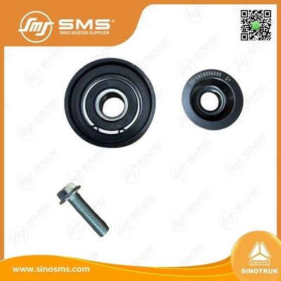 Pulley idler 202V95800-6098 HOWO Truck Parts Belt Tensione cintura a rulli Idler Pulley Tensione Idler Flat Idler