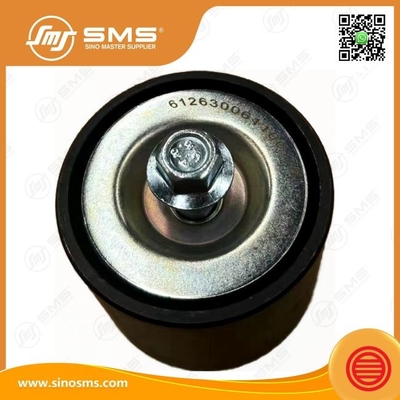 Flat Idler 612630061100 Weichai Parti del motore cintura di tensione cintura di rullo idler pulizia idler di tensione idler piatto idler