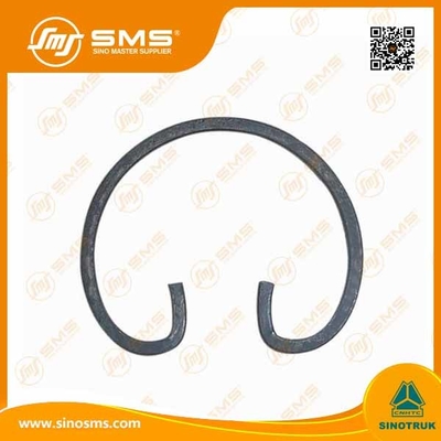 Parti del camion del ODM HOWO dell'OEM che conservano Ring Wd 615 WG1560030012
