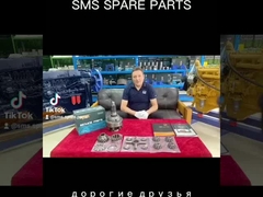 AZ9231320171 Assemblaggio differenziale HOWO Parti di autocarri